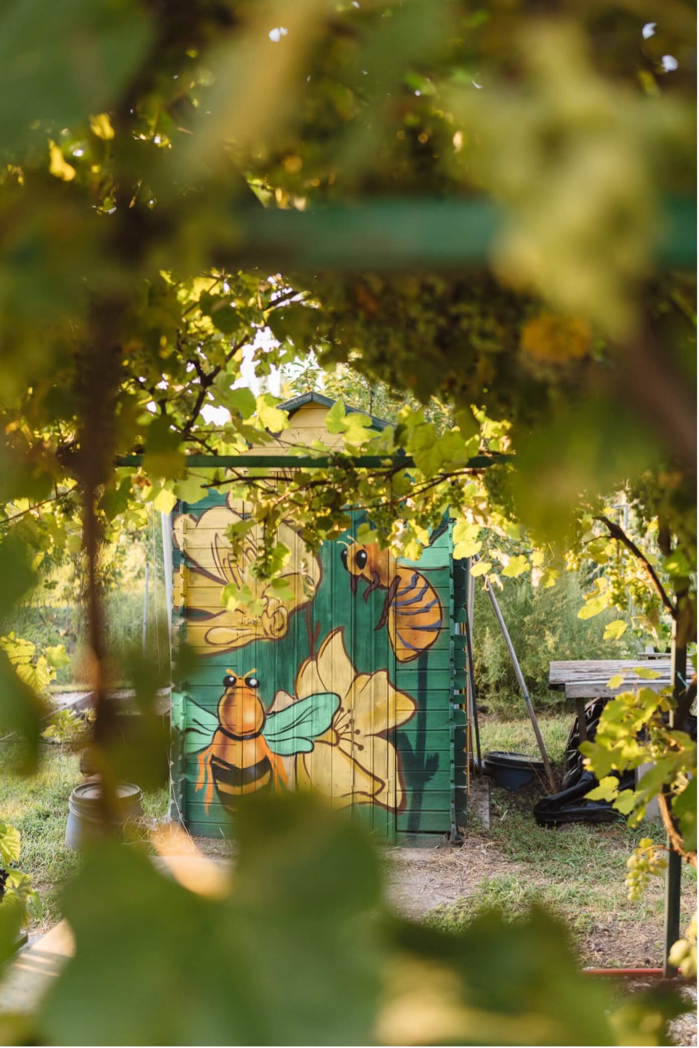 Zöldségek és gyümölcsök