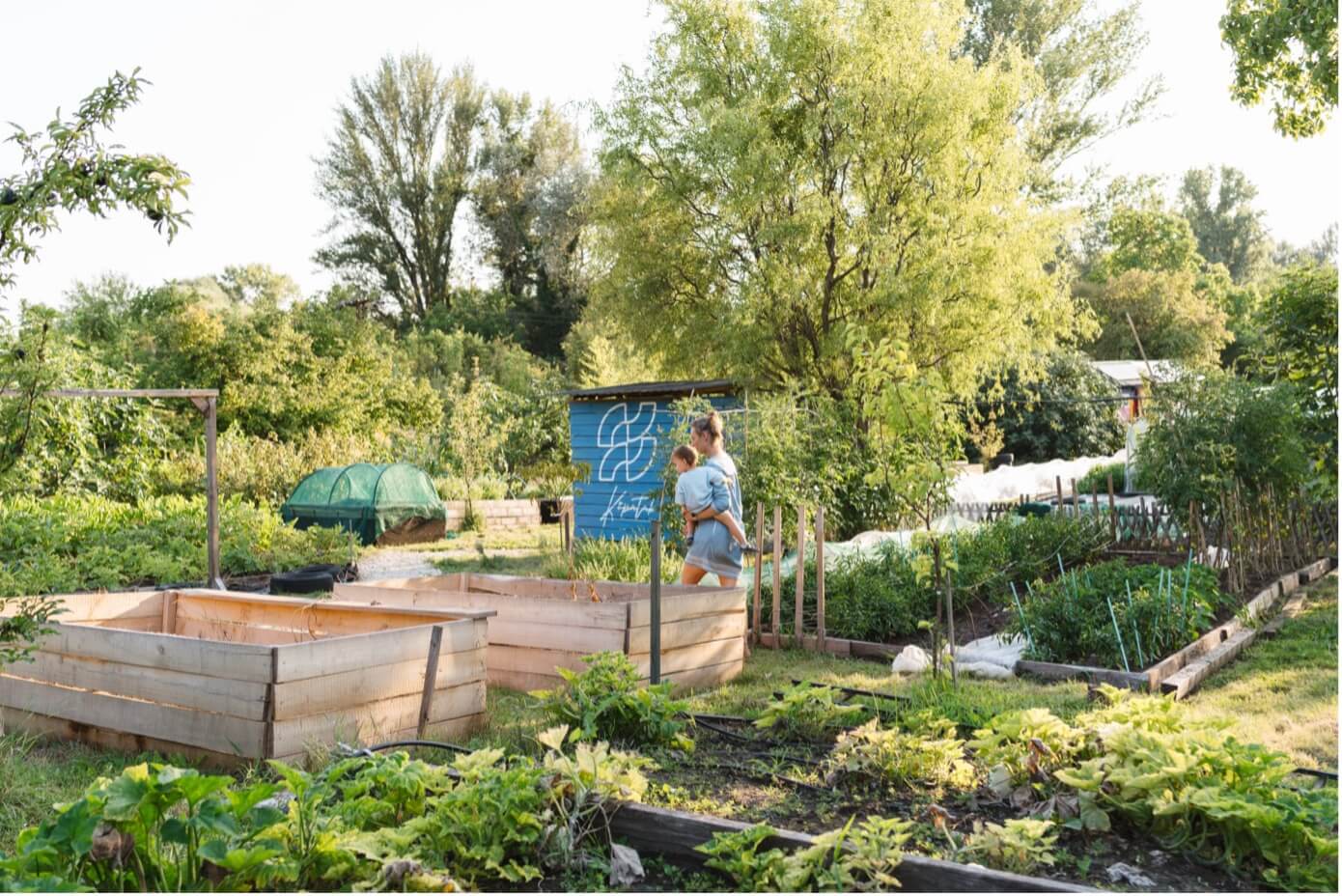 Kőpatak közösség